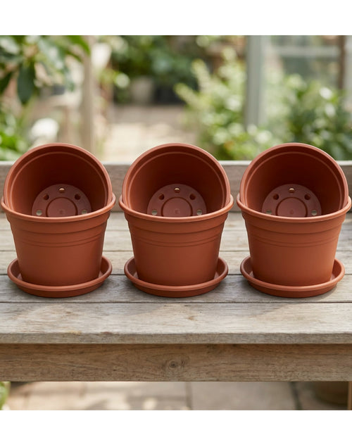 Edkvn Three Pack Eight Inch Plastic Nursery Pots Terracotta - Lifestyle view
